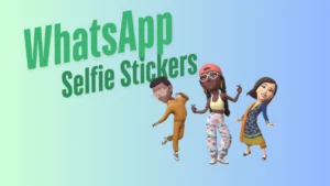 Image: Selfie Stickers for WhatsApp, Credit: Shiny/Techerry