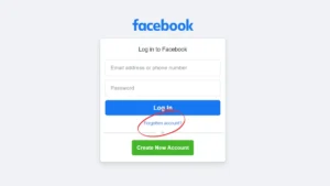 Image: find facebook profile password, Credit: Vikk/Techerry