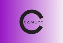 Image: Google Reintroduces Cameyo to Transform Enterprise Apps on Chrome, Techerry/Ram